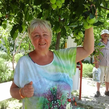 Отель Elis Сиде