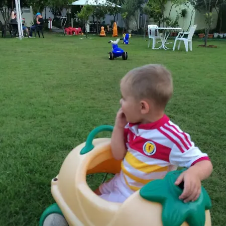 Elis 3*