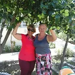 Elis מלון 3*