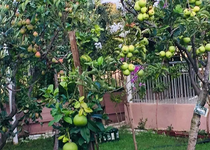 Elis Ξενοδοχείο Σιντέ