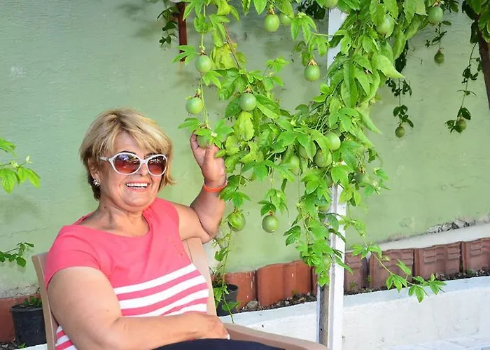 Elis Ξενοδοχείο Σιντέ