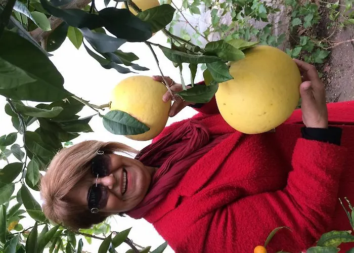 Elis Ξενοδοχείο