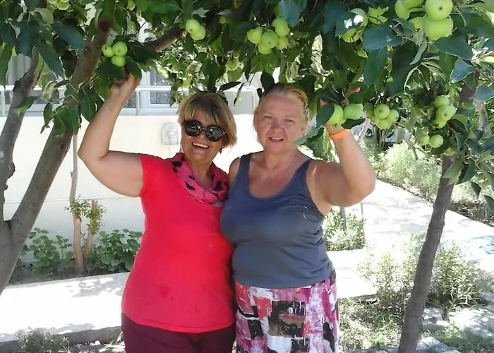 Elis Ξενοδοχείο 3*