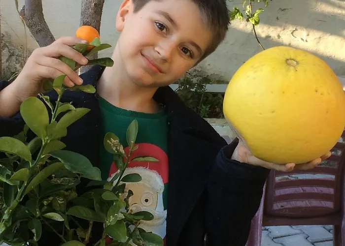 Elis Ξενοδοχείο 3*