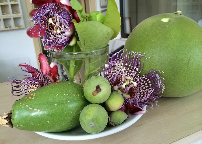 Elis Ξενοδοχείο